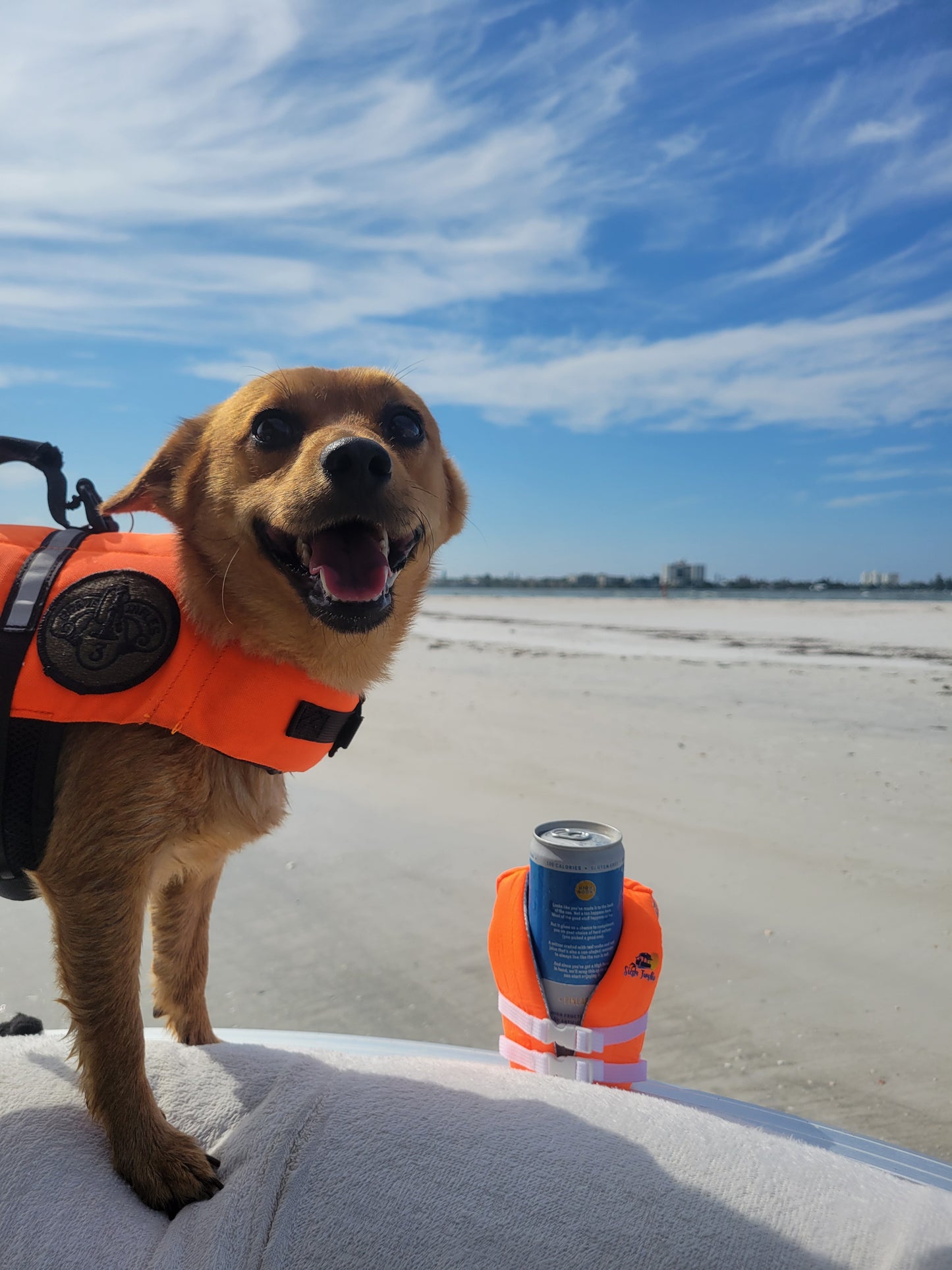 Koozie Life Jacket