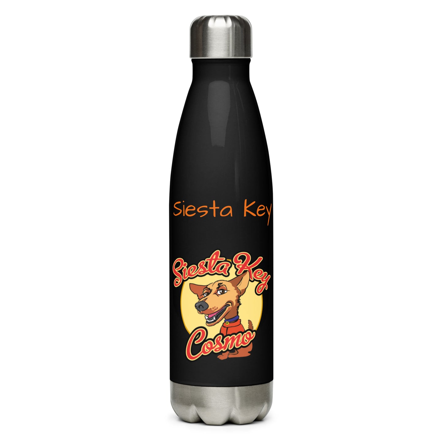 Stainless steel water bottle