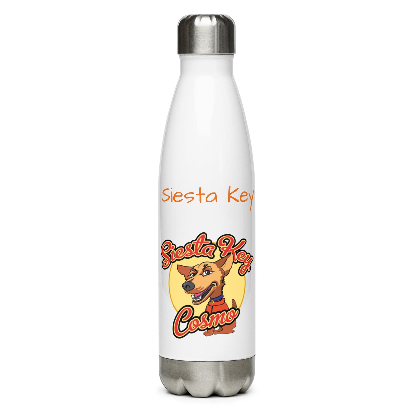 Stainless steel water bottle